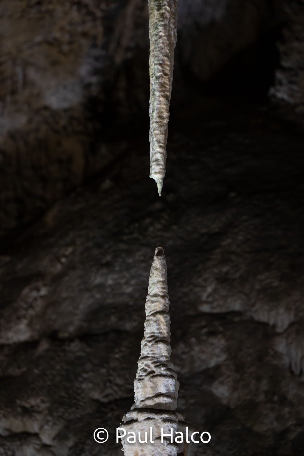 Paul Halco - Caralsbad Cavern NP-8